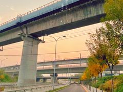 -首都医科大学附属北京天坛医院