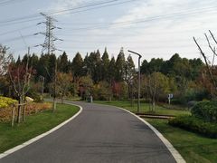 -昆山城市生态森林公园