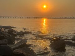 -宝安西湾红树林湿地公园