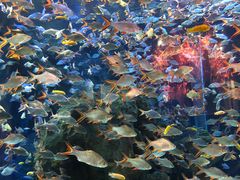 -成都浩海立方海洋公园