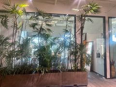 -大视光学•LINDBERG林德伯格•全球手工眼镜集合店(王府井店)