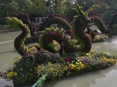 -汇龙潭