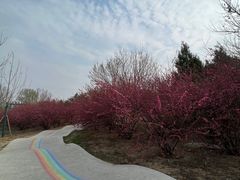 -太阳宫公园