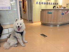 -瑞派·关忠动物医院(国瑞店)