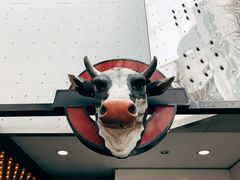 -Red Rock(原宿店)