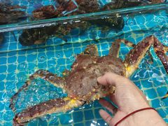 -琼大师东方烤乳猪(亚特兰蒂斯店)