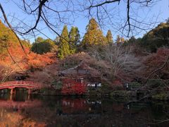 -醍醐寺
