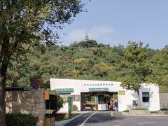-苏州上方山国家森林公园