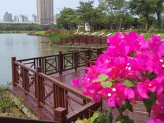 -万绿园