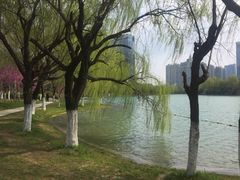 -天鹅湖体育公园