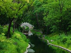 -北坞公园