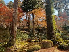 -三千院