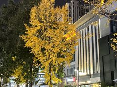 -尚宴(盛世广场·食尚街店)