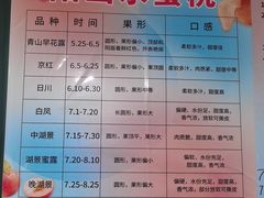 -老袁家蜜桃农场·阳山水蜜桃