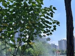 -洈水谣 · 地道荆州松滋菜(菱角湖公园店)