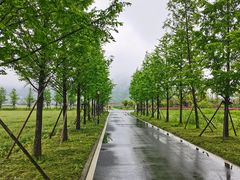 -杭州灵山景区