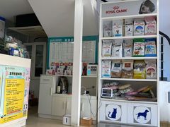-诺比宠物医院心脏内科·泌尿肾内外科·骨科急重症