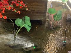 -苏浙徽·江南荟·本味融合菜(相城方圆里店)