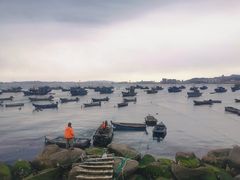 -威海市图书馆