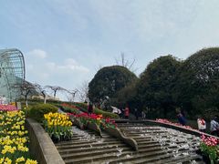 -南山植物园