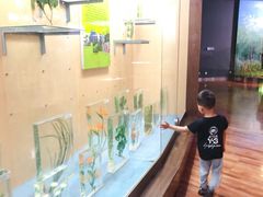 -陕西自然博物馆