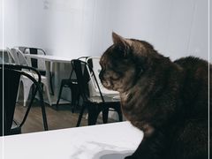 -乐果甜心·潮汕冰室(南澳后宅分店)