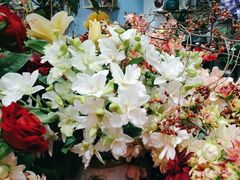 -花辰月夕花坊(北滨路店)