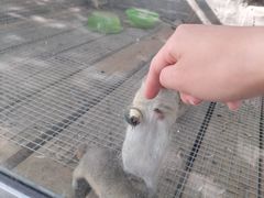 -北京鹿世界主题园