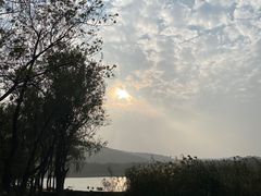 -长广溪湿地公园