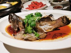 石斑鱼-顺峰(农展馆店)