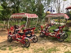 -永定河休闲森林公园