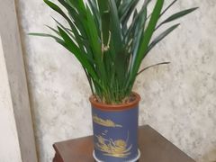 -上海精菜馆(虎踞关店)
