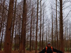 -贵阳市花溪国家城市湿地公园