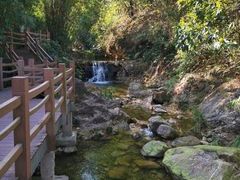 -南海湾森林生态园