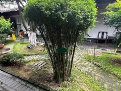 -不倒翁·徽天下名菜楼(马鞍山路店)