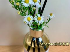 -Olive Young(明洞旗舰店)