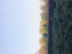 -洛阳市隋唐城遗址植物园