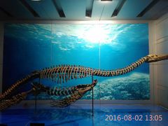 -自贡恐龙博物馆