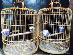 -到家尝北京菜(西坝河店)