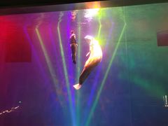 -芜湖新华联大白鲸海洋公园