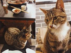 -酒友老火锅(渝中店)