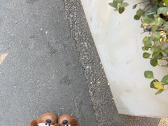 -永乐饭庄(安德路店)