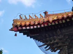 -北陵公园