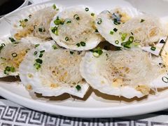 蒜蓉粉丝蒸元贝-强记海鲜·大排档(蛇口新街店)