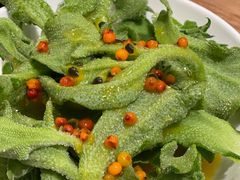 果粒冰草-九十九顶毡房(阜石路店)