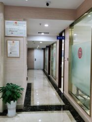 -碧莲盛·不剃发植发