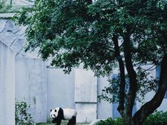 -柳州市动物园