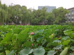 -四川大学(望江校区)