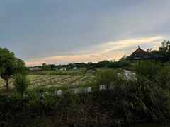 -上海杨姆庄园