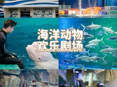 -威海华夏城景区